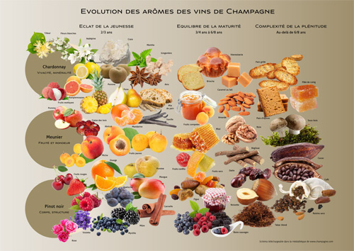 Carte_Des_Aromes_FR.jpg (96 KB)